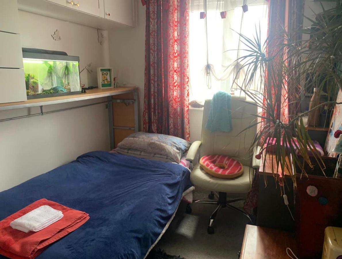 Cosy Room In London Wembley Exteriör bild